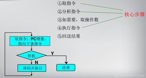 計算機(jī)系統(tǒng)的基本組成與其相關(guān)服務(wù)